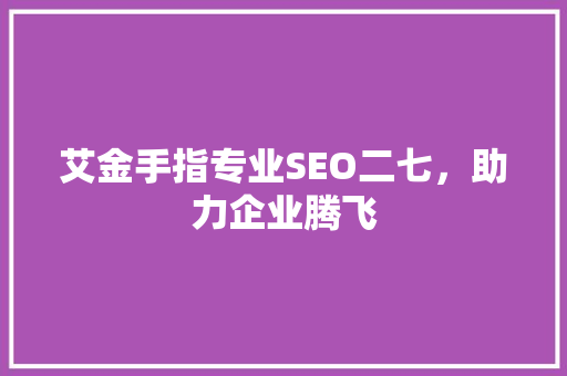 艾金手指专业SEO二七，助力企业腾飞