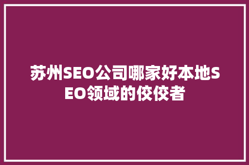 苏州SEO公司哪家好本地SEO领域的佼佼者