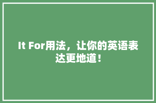 It For用法，让你的英语表达更地道！ 项目报告