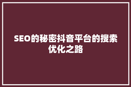 SEO的秘密抖音平台的搜索优化之路