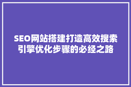 SEO网站搭建打造高效搜索引擎优化步骤的必经之路