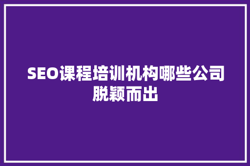 SEO课程培训机构哪些公司脱颖而出