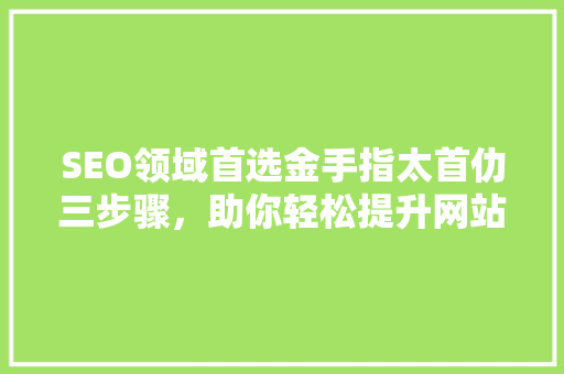 SEO领域首选金手指太首仂三步骤，助你轻松提升网站排名
