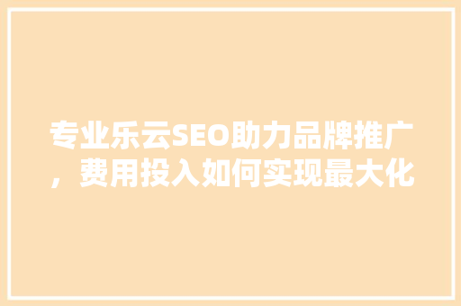 专业乐云SEO助力品牌推广，费用投入如何实现最大化价值