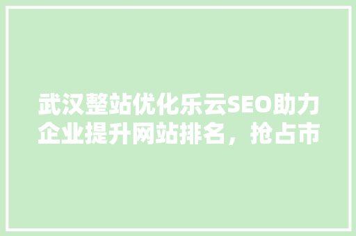 武汉整站优化乐云SEO助力企业提升网站排名，抢占市场先机