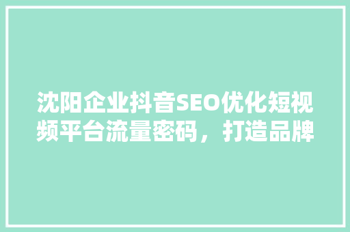 沈阳企业抖音SEO优化短视频平台流量密码，打造品牌新高度