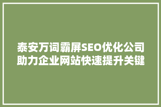 泰安万词霸屏SEO优化公司助力企业网站快速提升关键词排名，抢占市场先机