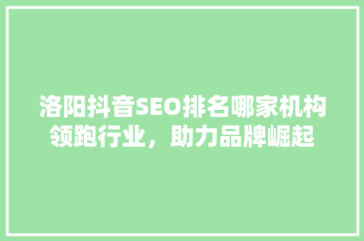 洛阳抖音SEO排名哪家机构领跑行业，助力品牌崛起