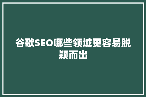 谷歌SEO哪些领域更容易脱颖而出