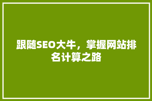跟随SEO大牛，掌握网站排名计算之路