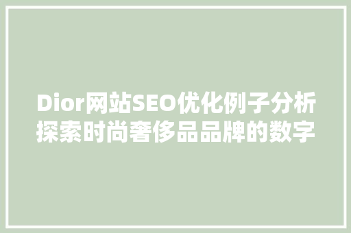 Dior网站SEO优化例子分析探索时尚奢侈品品牌的数字营销之路