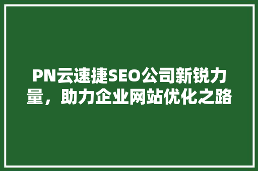 PN云速捷SEO公司新锐力量，助力企业网站优化之路