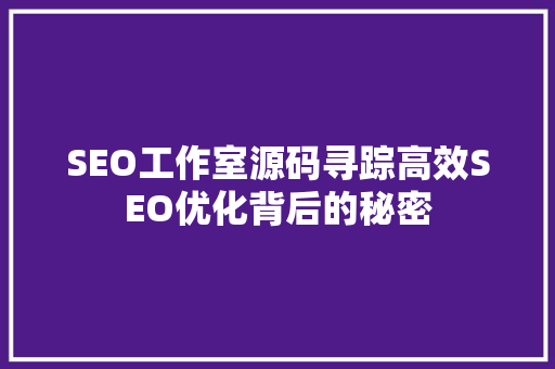 SEO工作室源码寻踪高效SEO优化背后的秘密