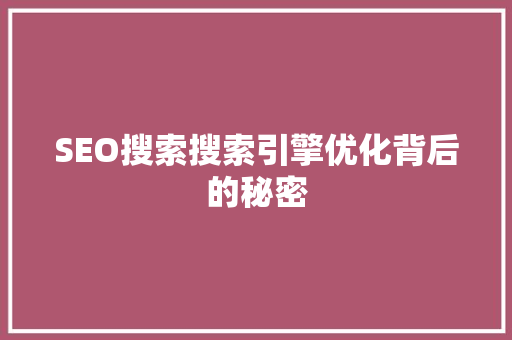 SEO搜索搜索引擎优化背后的秘密