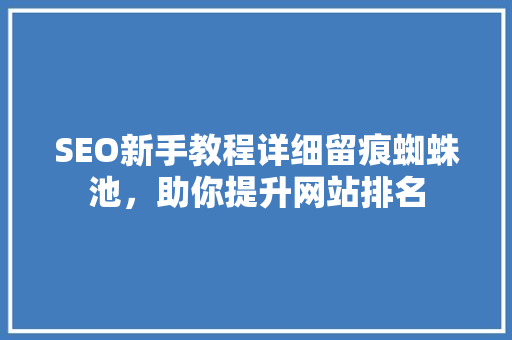 SEO新手教程详细留痕蜘蛛池，助你提升网站排名