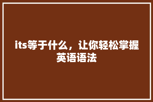 its等于什么，让你轻松掌握英语语法