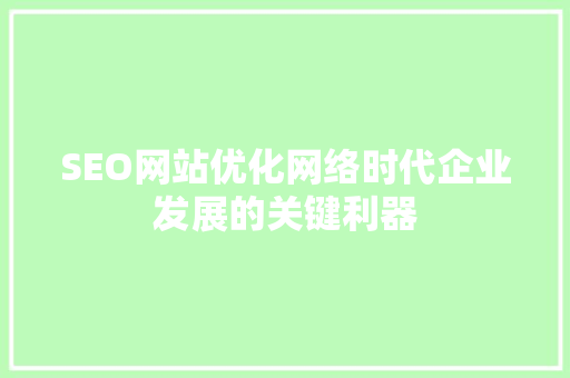 SEO网站优化网络时代企业发展的关键利器