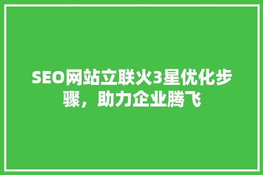 SEO网站立联火3星优化步骤，助力企业腾飞