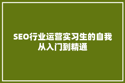SEO行业运营实习生的自我从入门到精通