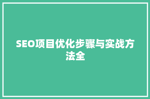 SEO项目优化步骤与实战方法全