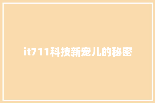 it711科技新宠儿的秘密 市场营销范文